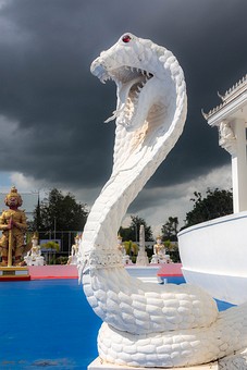 V1101343 - Wat Hin Thaen