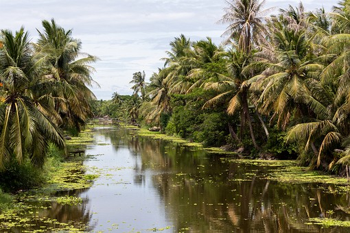 Y0622139 - Khlong Samut Songkhram