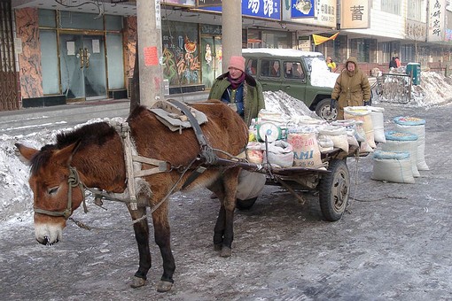 B0106002 - Street Vendors