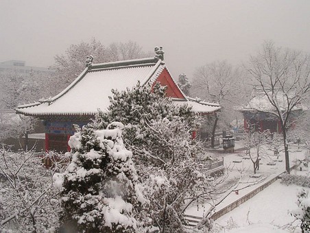 B0125050 - Da Xingshan Pagoda