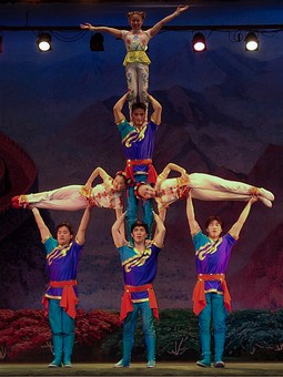 B0410110 - Acrobats