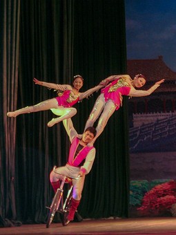 B0410138 - Acrobats