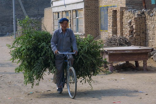 B0707032 - Shanxi Countryside