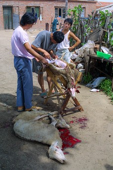 B0728008 - Daqinggou Village