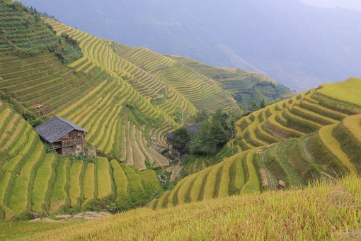 B0930099 - Longi Terrasses