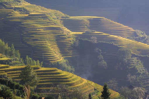 B1001165 - Longi Terrasses