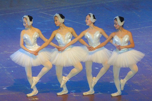 C0420061 - Spectacles