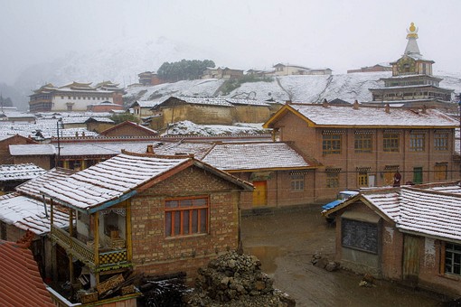 C0519032 - Langmusi Town