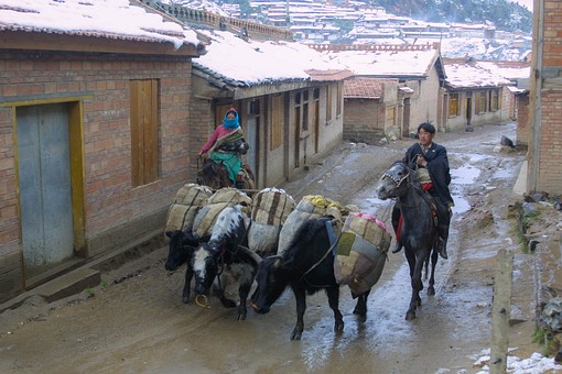 C0521006 - Langmusi Town