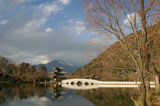 E0108375 - Black Dragon Pool