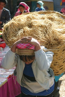 E0110469 - Wase Market