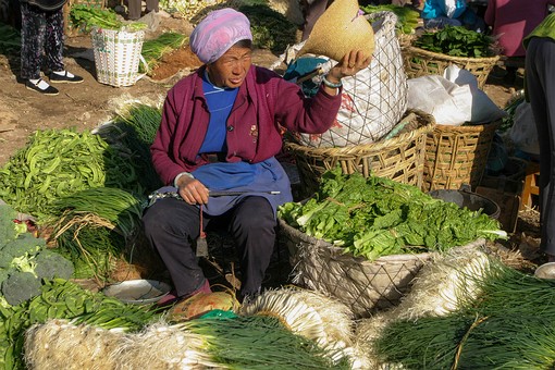 E0112160 - Shaping Market