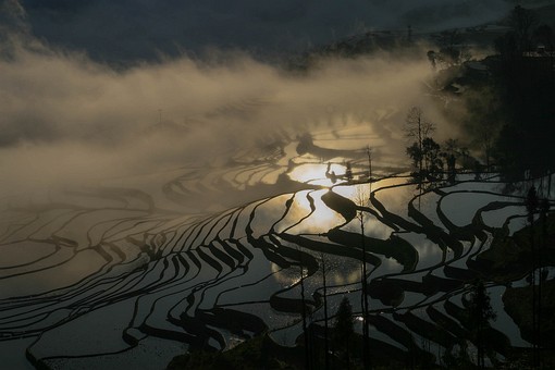 E0119138 - Rice Terraces 1