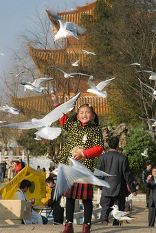 E0122100 - Dagan Park