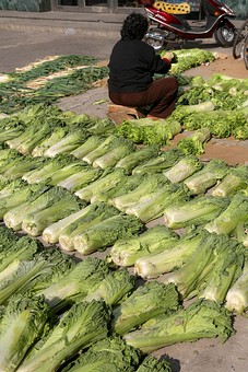 F1023029 - Street Scenes