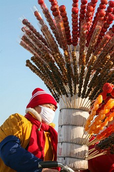 G0108095 - Ice Snow Festival 20