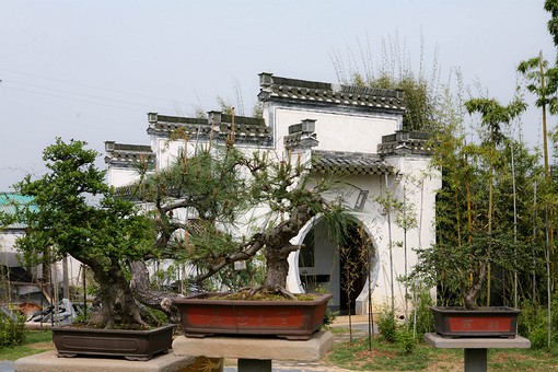 G0427058 - Bao Family Garden