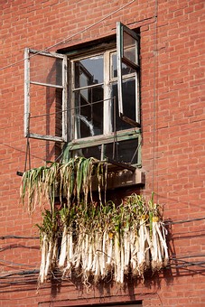 G1112100 - Popular Habitat