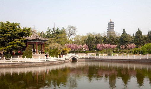 H0429199 - Zhangshan Park