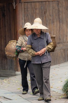 M0416246 - Tea Picking