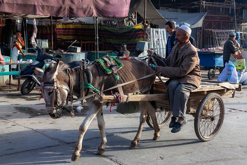 M0930077 - Sunday Market-Bazar