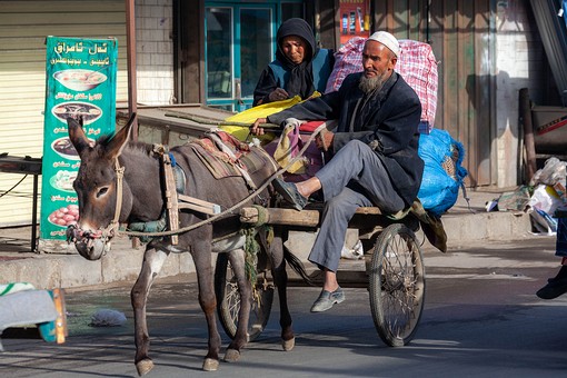 M0930112 - Sunday Market-Bazar
