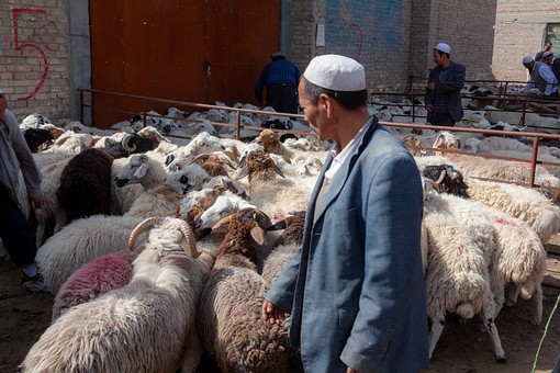M0930401 - Goat Market