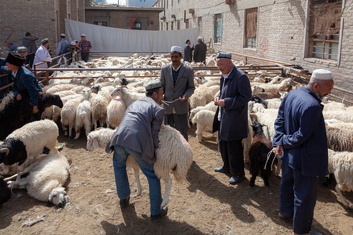 M0930538 - Goat Market