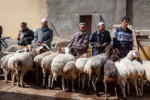 M0930563 - Goat Market