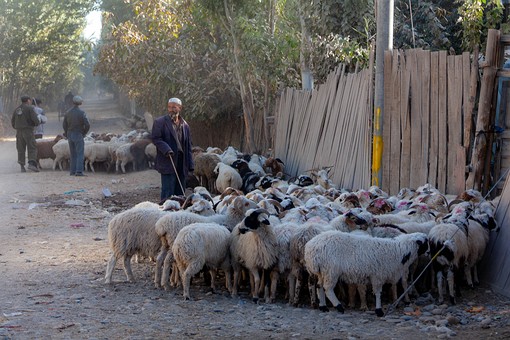 M1002003 - Charbagh Market