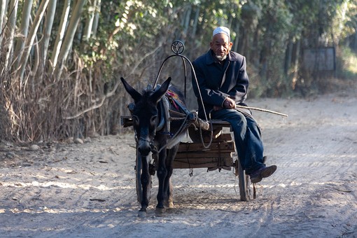 M1002025 - Charbagh Market