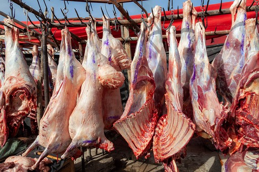 M1003119 - Livestock Market