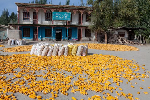 M1003145 - Village-Mosque