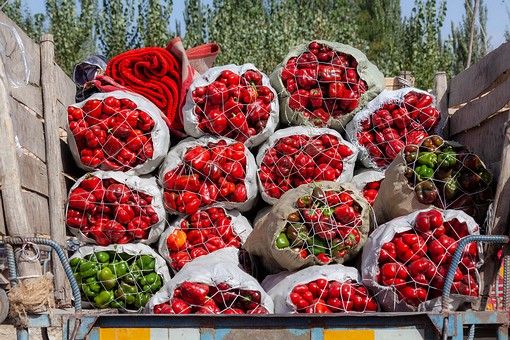 M1003444 - General Market