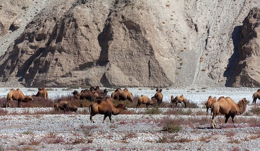 M1005643 - Kumtagh Plateau