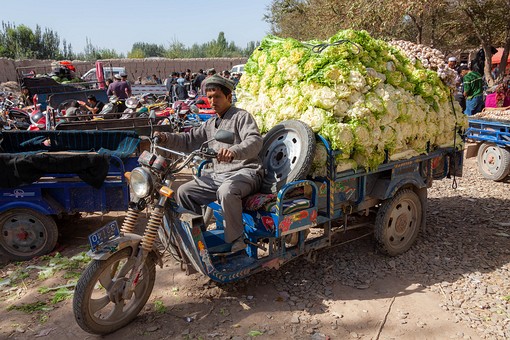 M1006184 - General Market