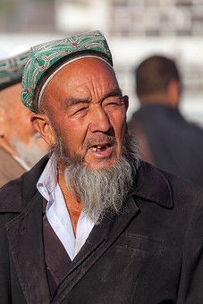 M1007086 - Cow Market