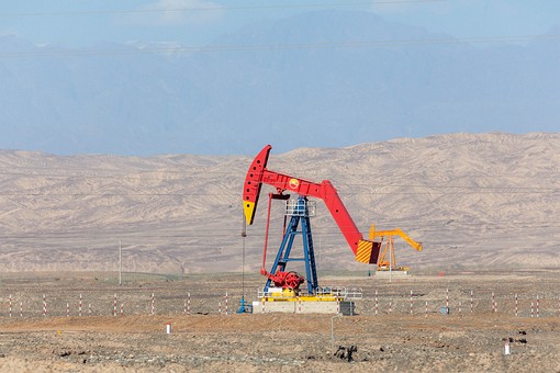 M1009495 - Petroleum Fields