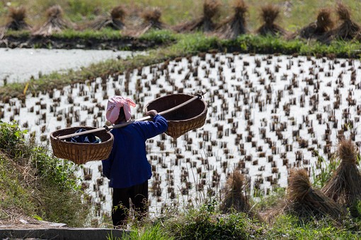 N0929643 - Jidao-Upper Village