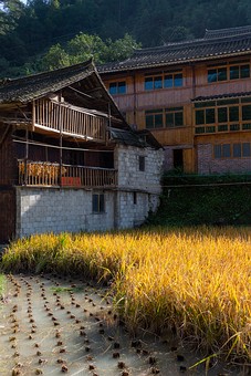 N0929733 - Jidao-Lower Village