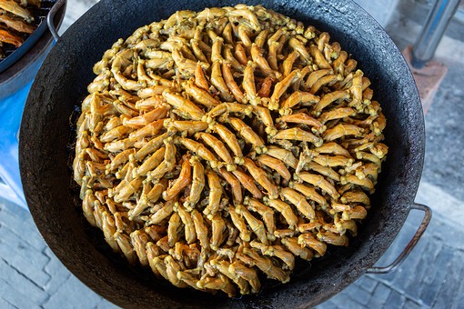 N1020033 - Fengjing Water Town