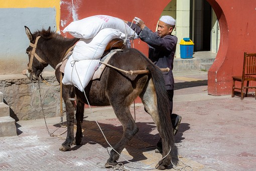 O0929273 - Xunhua Market And Ci
