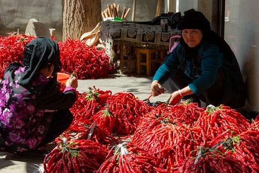 O0929404 - Chili Pepper