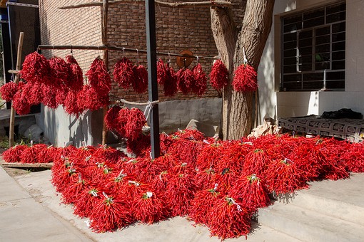 O0929405 - Chili Pepper