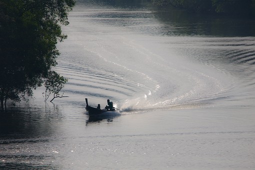 I0814086 - River-Mangrove