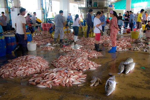 I0821379 - Ranong City