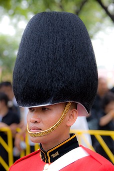 I1116388 - 09-Funeral Processio