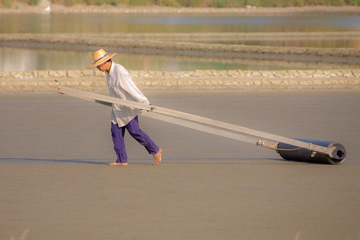 I1214478 - Salt Fields