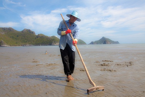 J0411057 - Hat Bang Pu