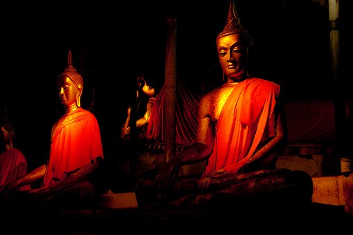 J0704195 - Khao Chong Phran